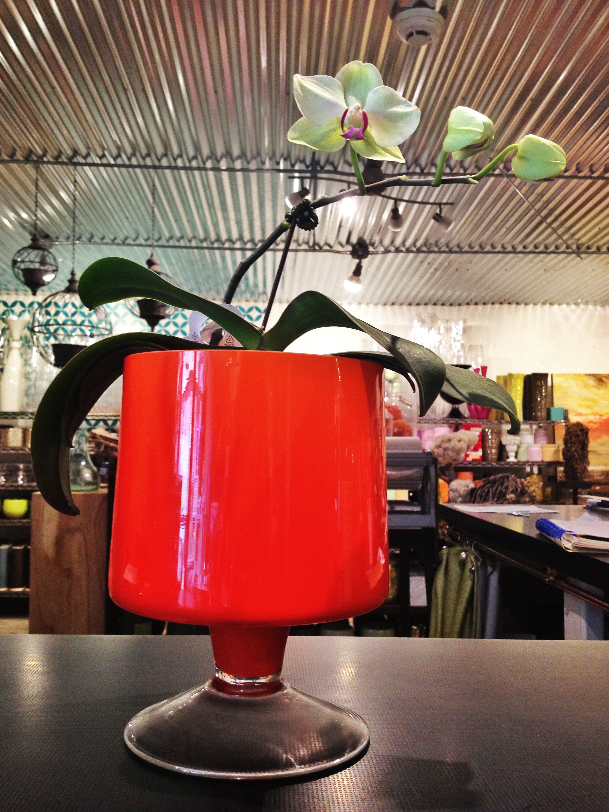 Rochester NY Florist | Favorite Friday | Modern Pedestal Vase