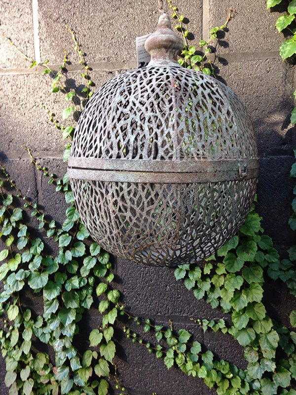 Just In and Sale of The Week