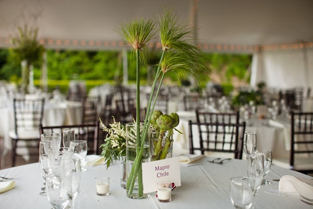 Stacy K Snapshot: All Things Green | Rochester NY Wedding Florist