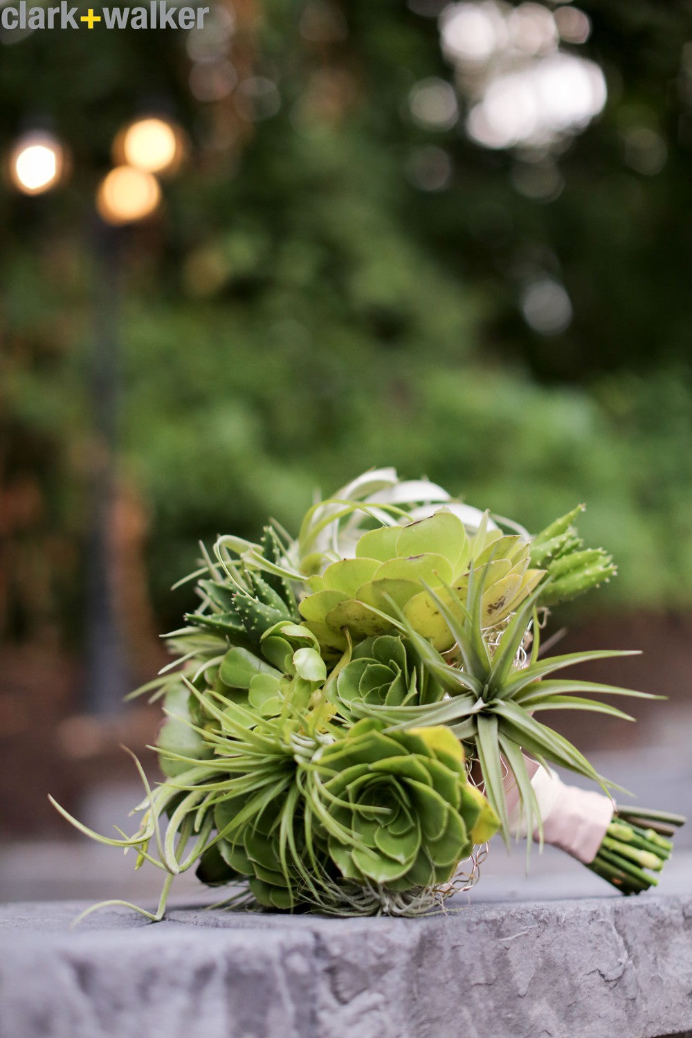 Springside Inn Wedding in Auburn NY