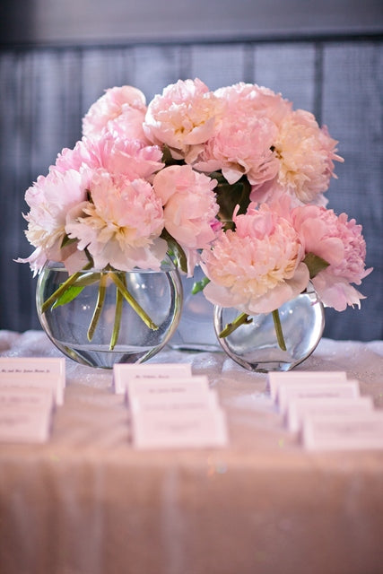 Stacy K 2011 Wedding Snapshot: Blush and Grey