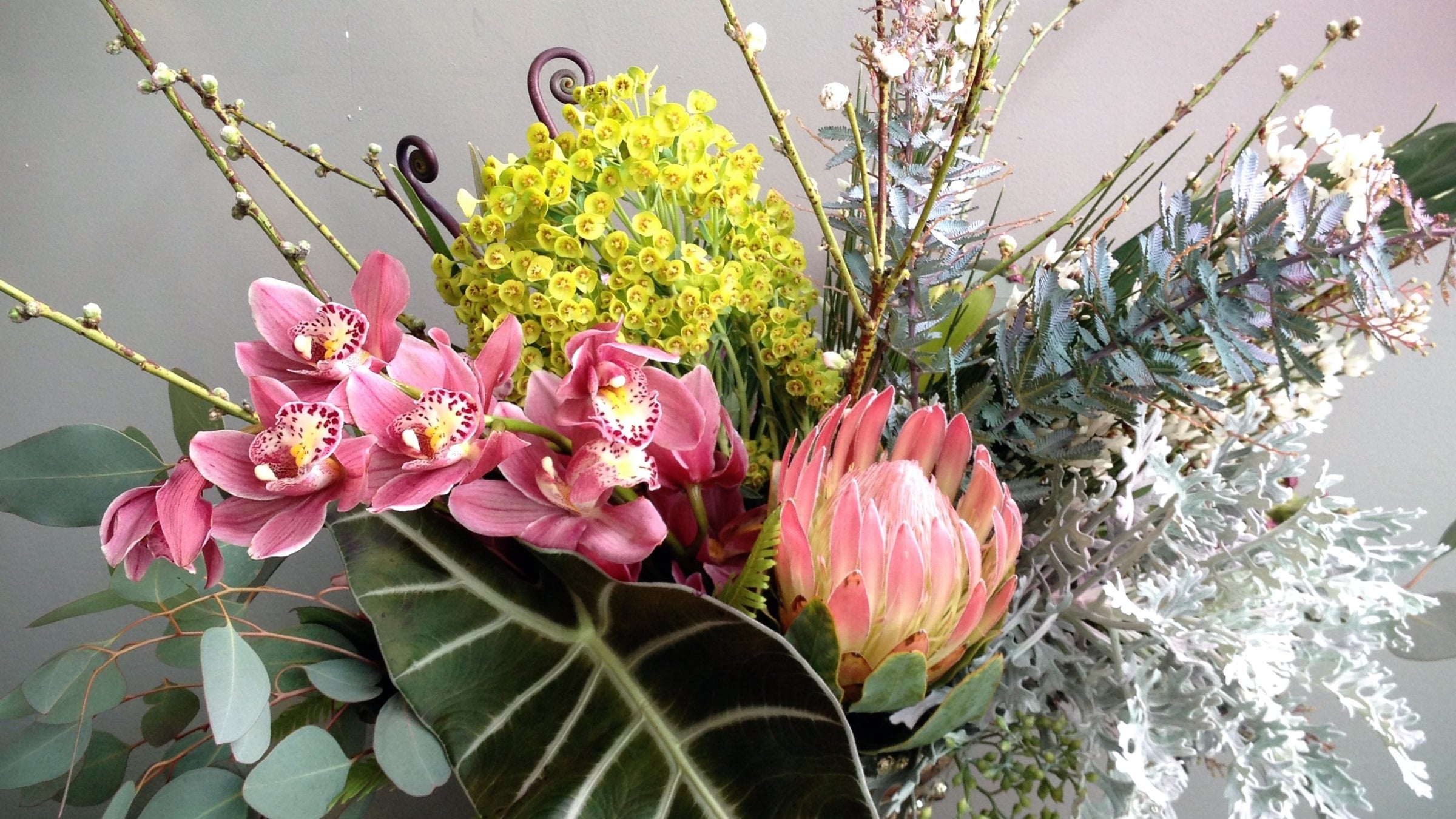 Birthday header with orchids and protea