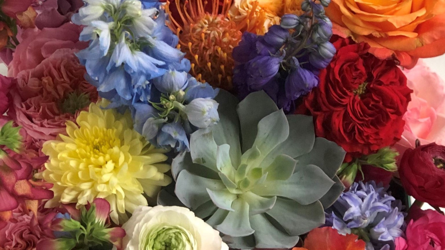 Congratulations header image of flowers and succulents
