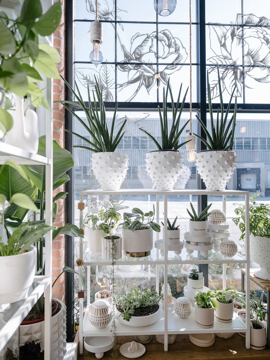 Front window shot of stacy K Floral with white planters and green plants