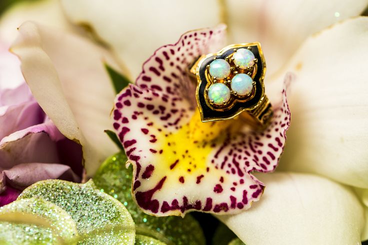 Cymbidium with Opal jewelry setting in it