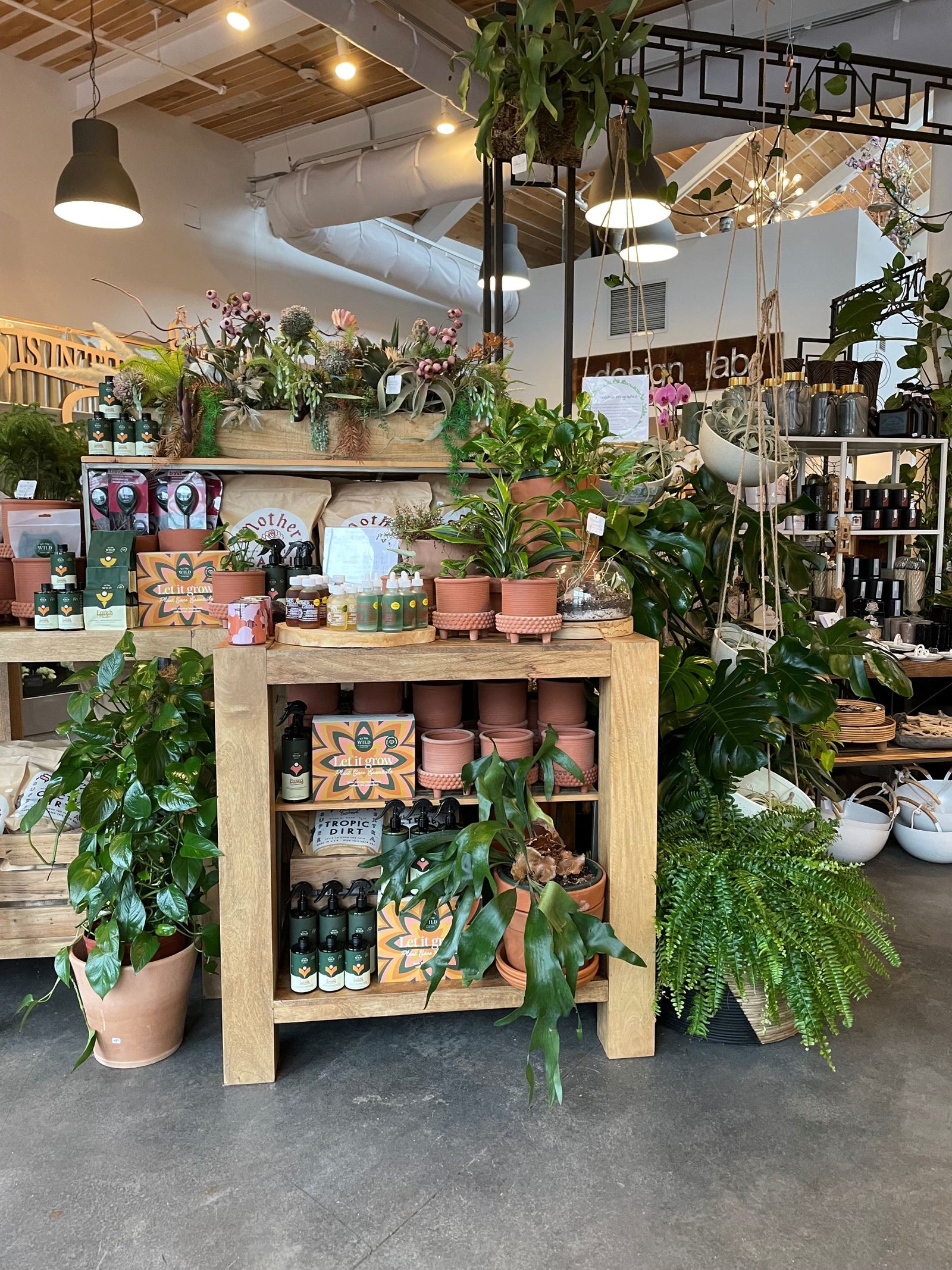 Wide view of the studio at 43 Russell Street with plants, plant merchandise and giftware in rochester ny