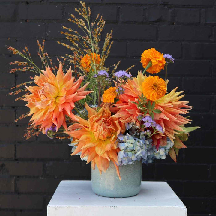 Arrangement in blue vase with orange dahlias, orange marigolds, purple ageratum, fall grass on a black background.