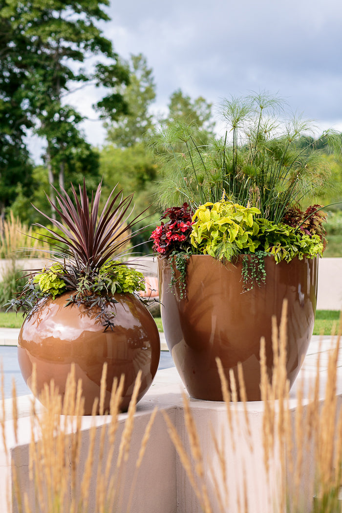 extra large container gardens in rochester ny by the pool