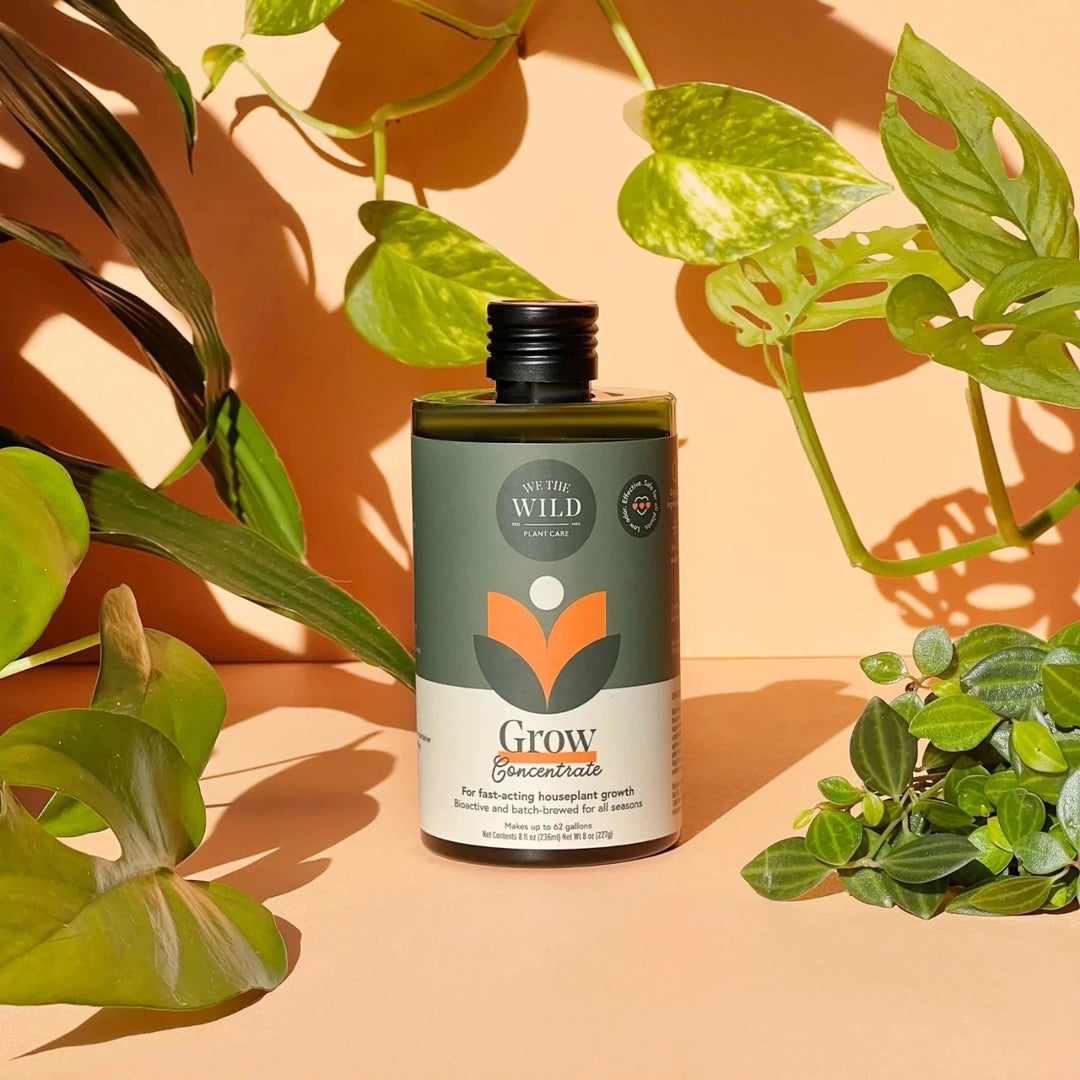 Grow Concentrate | We The Wild | for fast-acting houseplant growth, bioactive and batch-brewed for all seasons. Makes up to 62 gallons, net contents 8fl oz, net wt 8 oz. Classy green and orange packaging. Photo taken against an orange background decorated with houseplants.
