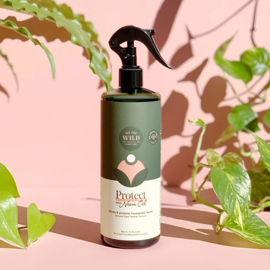 Protect Spray with Neem | We The Wild | Protect with Neem Oil, shines & protects houseplant leaves. Brewed from Mother Nature. Best for 12-20 plants. Net Contents 17 fl oz (500ml) Net Wt 17.6oz (500g). Spray bottle with green, pink, and cream label.