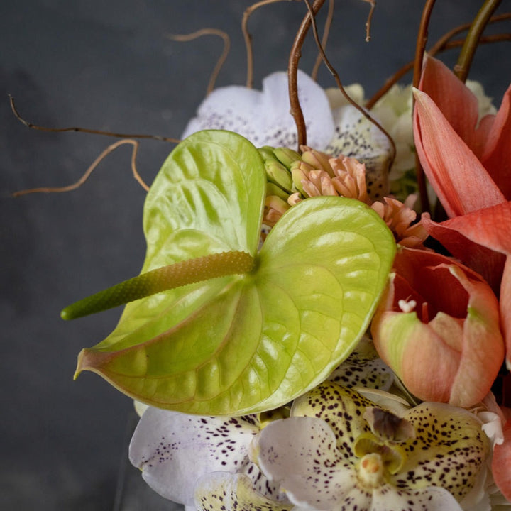 Anthurium close up Rochester NY Florist