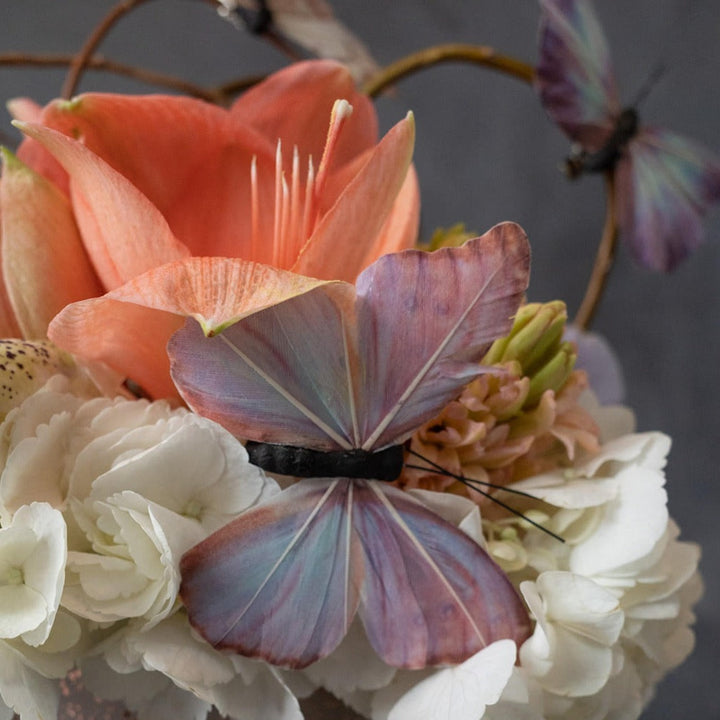 Butterfly and amaryllis in vased arrangement Rochester NY Florist