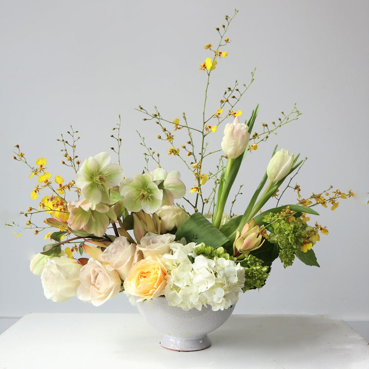 Spring floral arrangement with white and green hydrangea, white tulips, light roses, and yellow accents. Photo taken white backdrop.