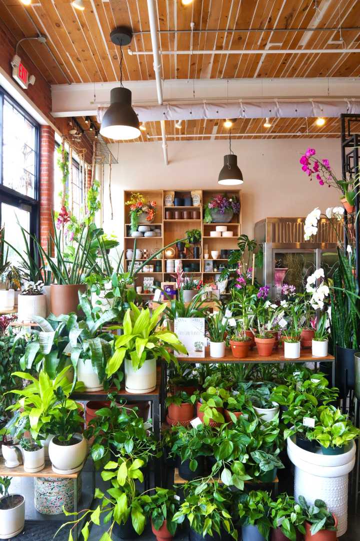 Partnership perks | Winter Swan Coffee + Stacy K Floral | Article by Rebecca Rafferty