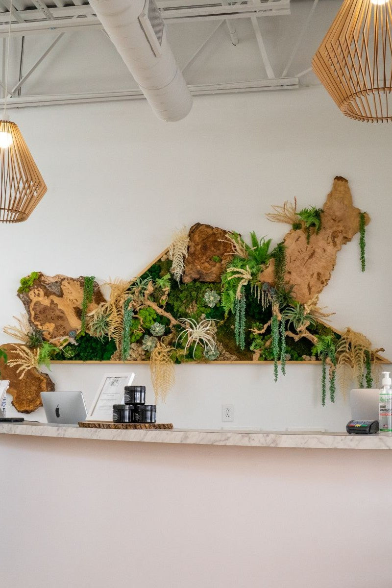 Plantscaping & Installations for Rochester Businesses