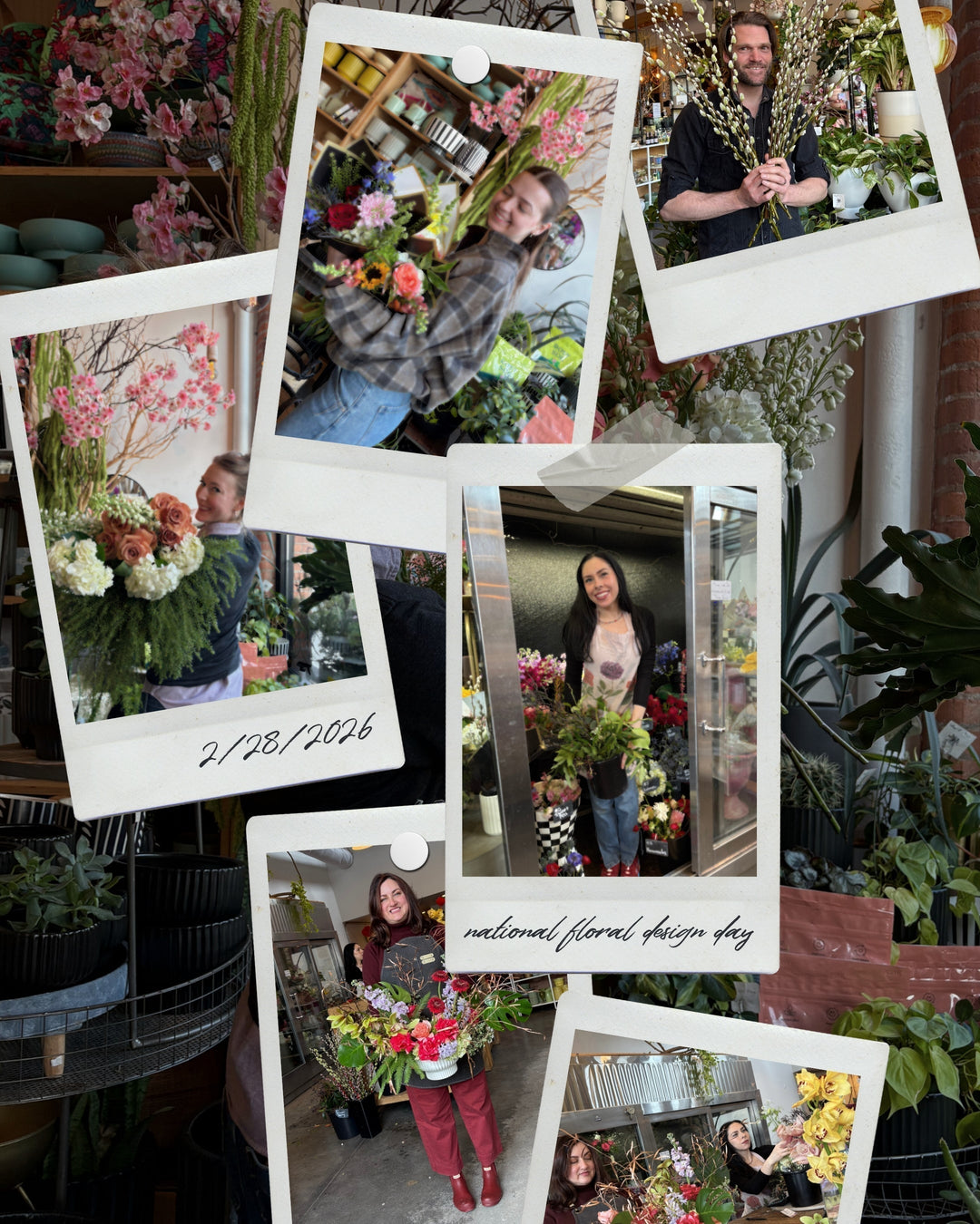 Photo Collage of Designers