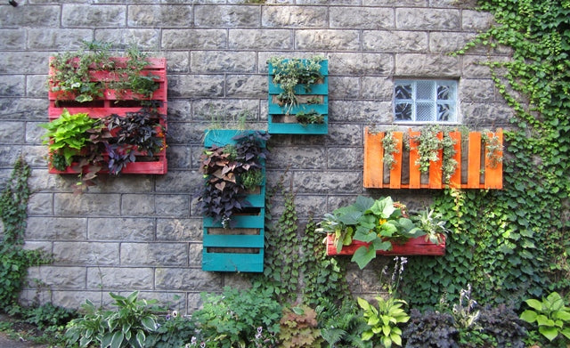 Upcycle: Wall Gardens | Florist Rochester NY