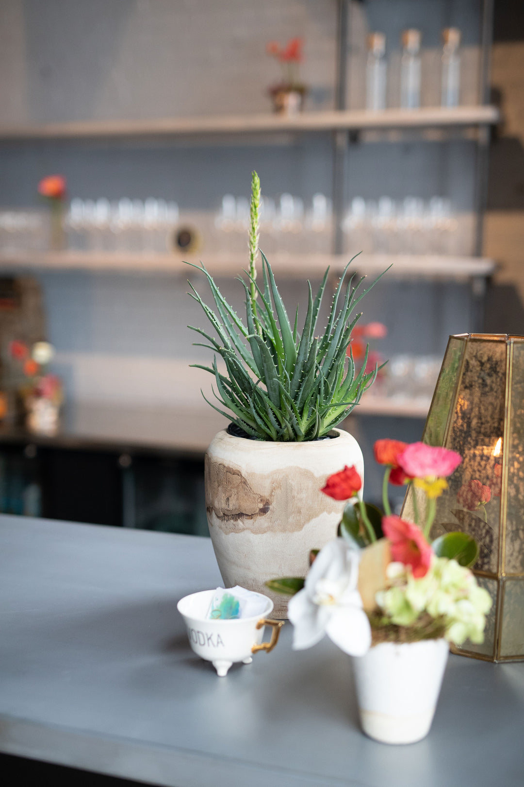 grouping of plant and small floral arrangement on bar