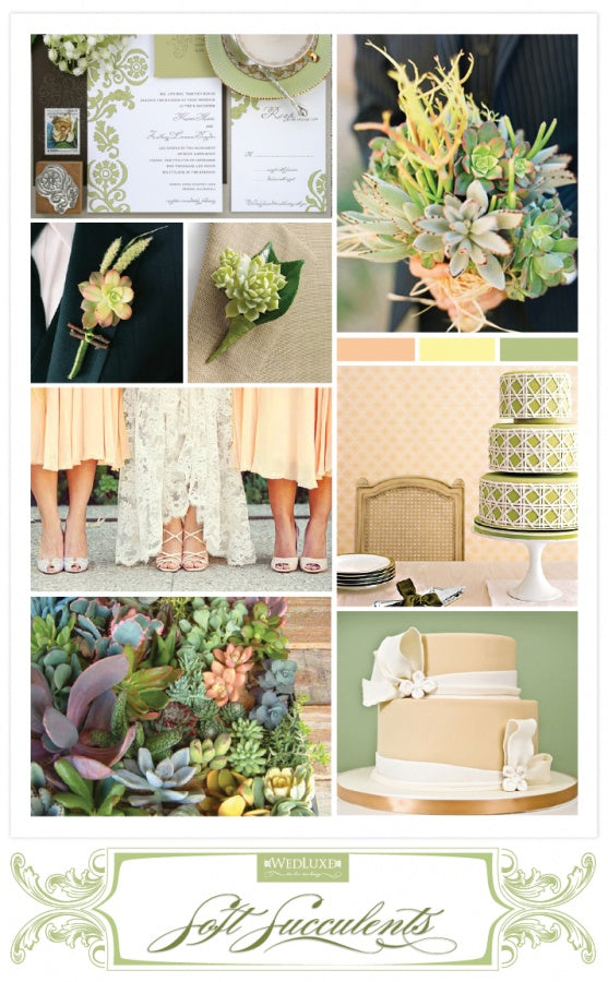 Succulents