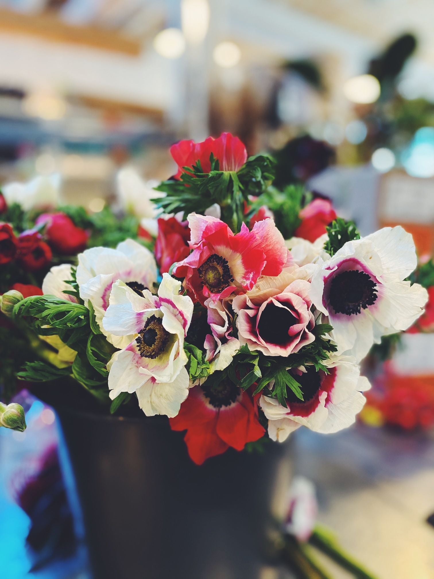 Let's talk Anemone | Flower spotlight