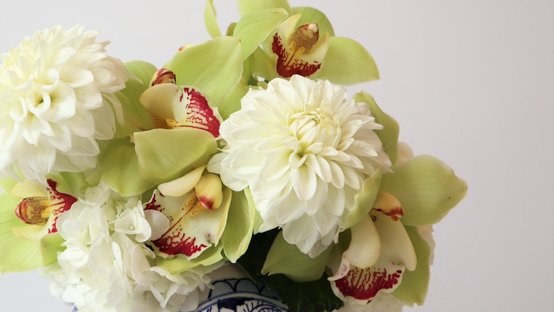 Graduation header image