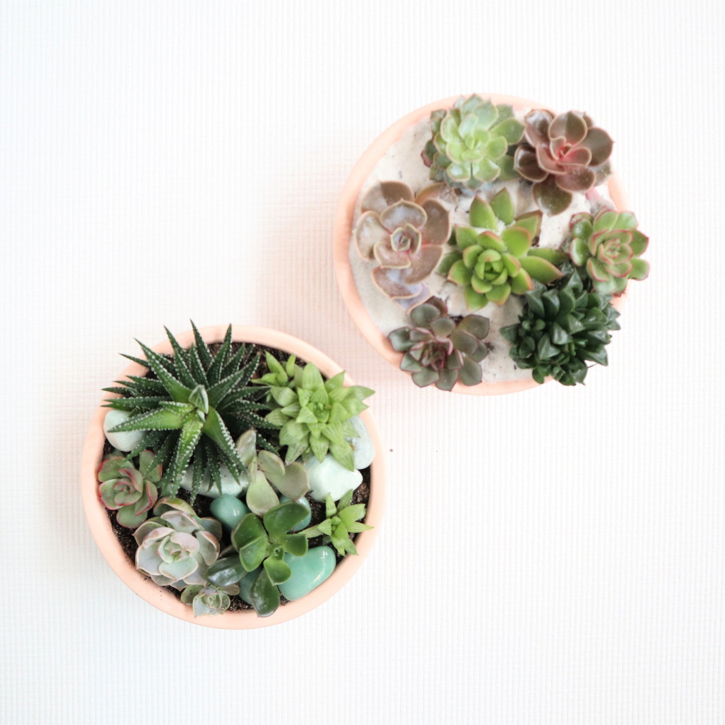 Succulents in blush planters with white sand