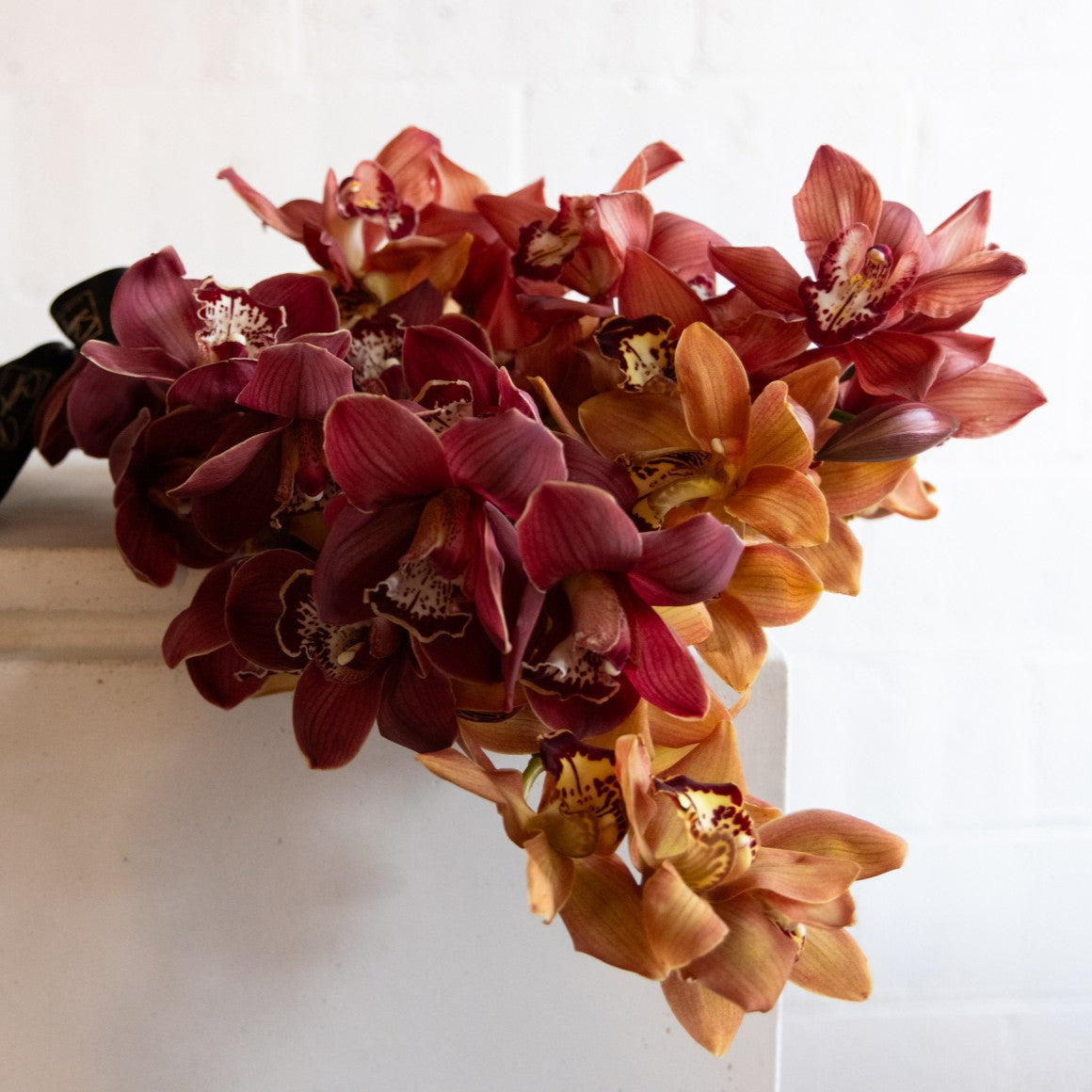 Same-Day Delivery Collection