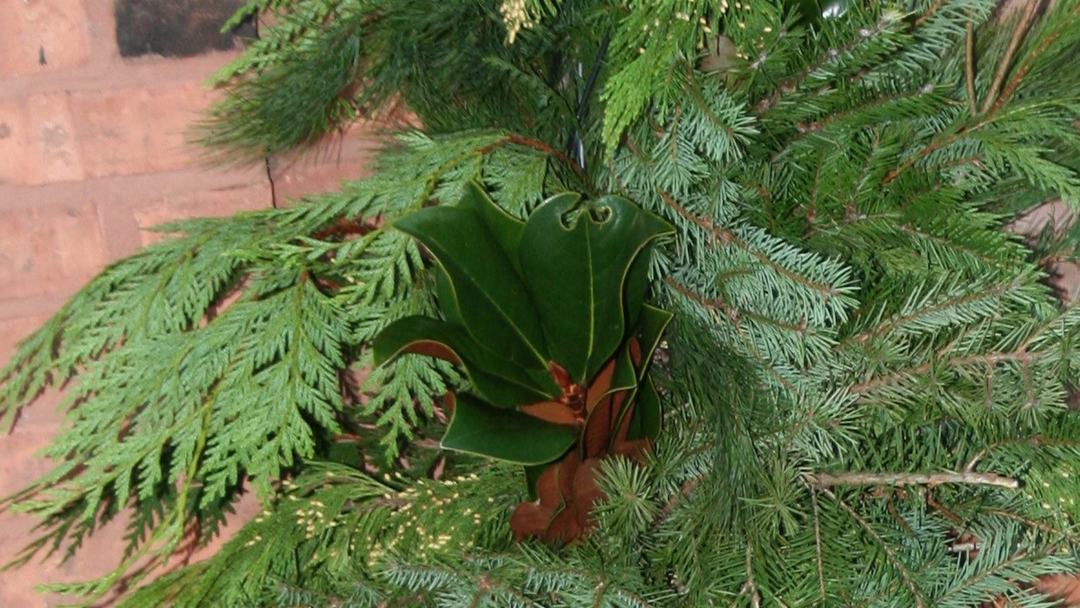 Winter greens header