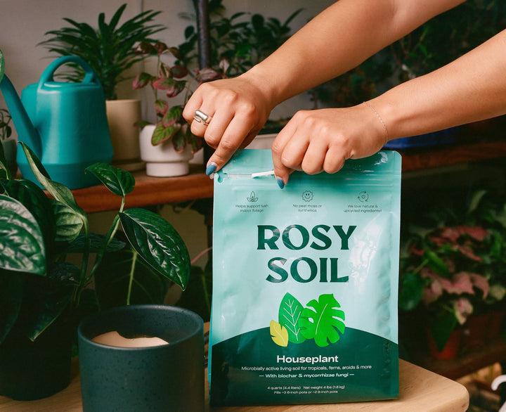 Our 100% natural, peat-free indoor potting mix is the perfect soil mix designed for houseplants, herbs, and flowers. 4qt Rosy Soil Organic Houseplant Potting Mix