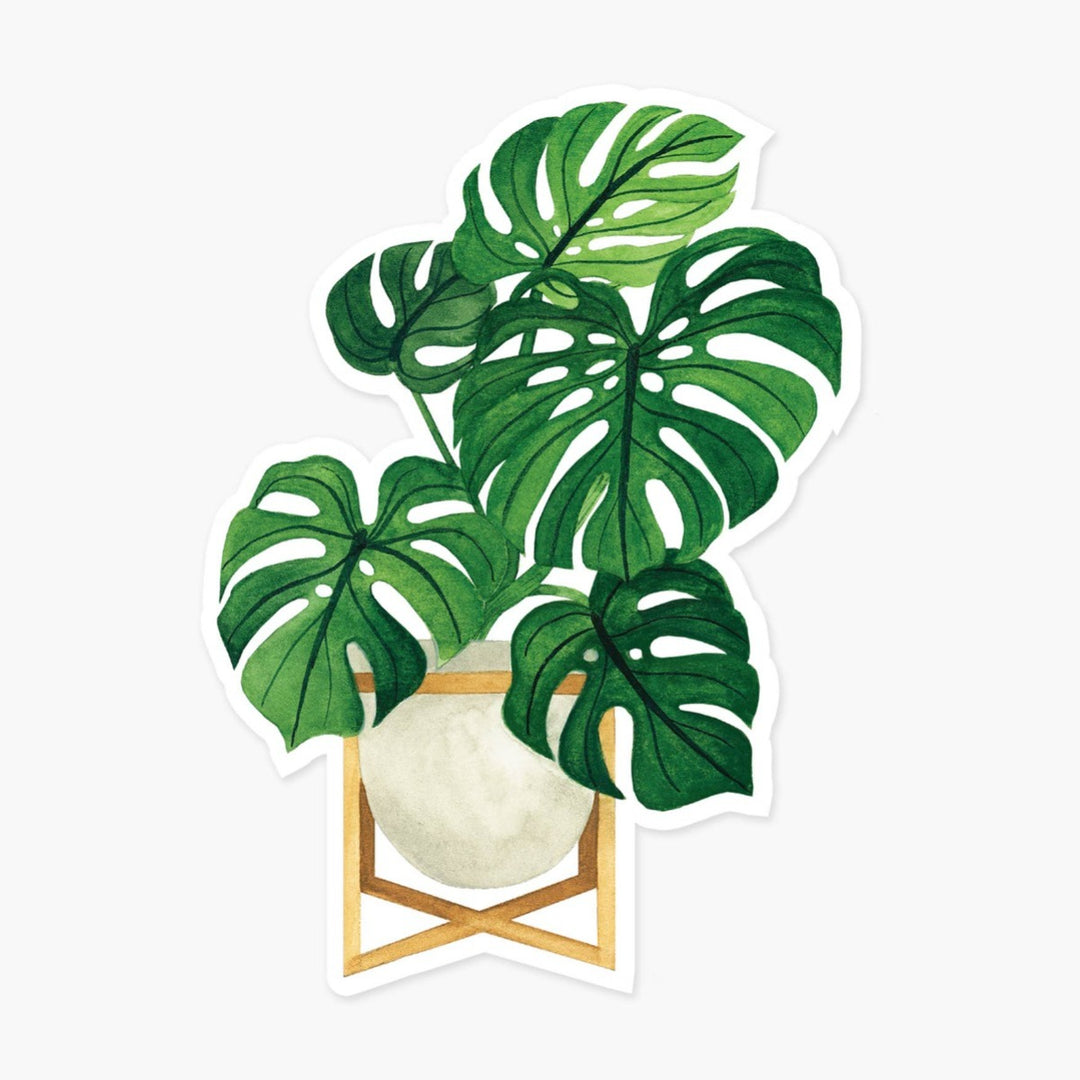 Monstera Plant Clear Sticker | An artistically rendered monstera plant in a pot.