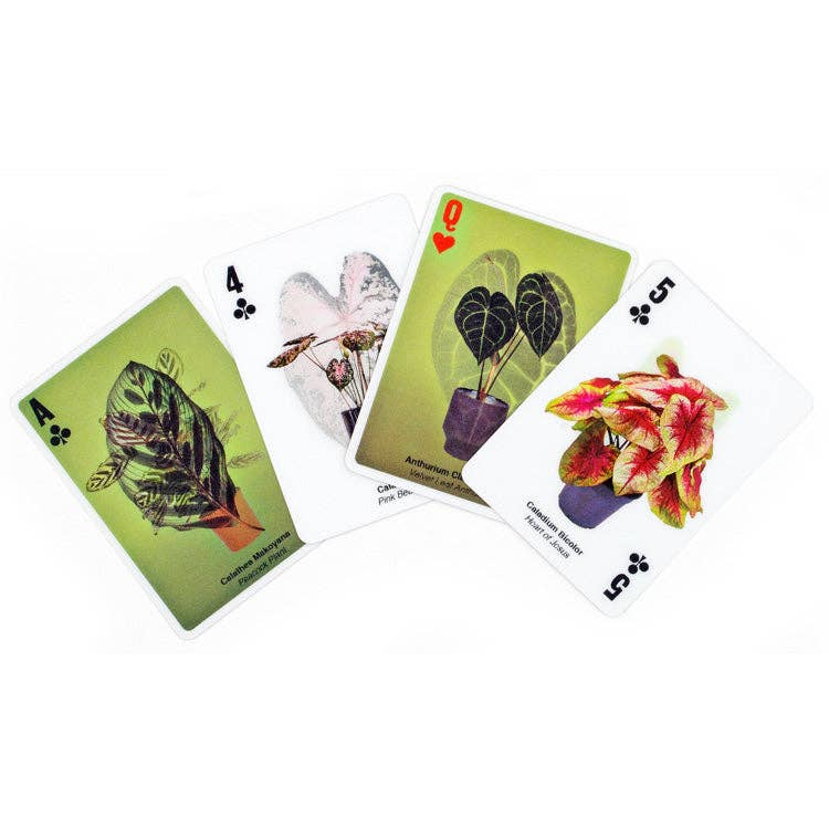 Kikkerland Design | 3D Plant Cards