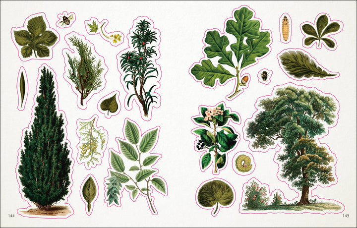 Botanist&