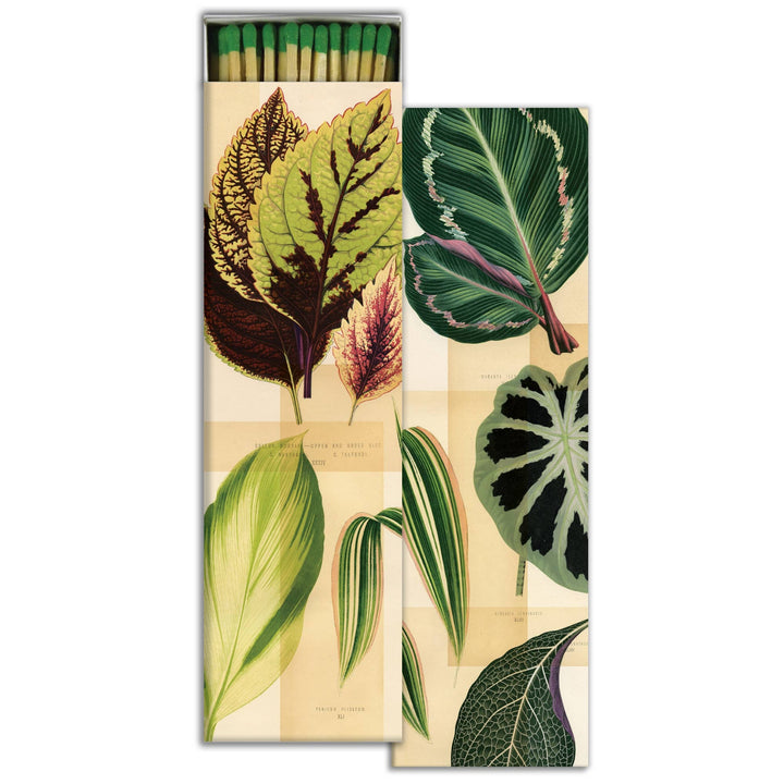 HomArt | Matches - Garden Foliage