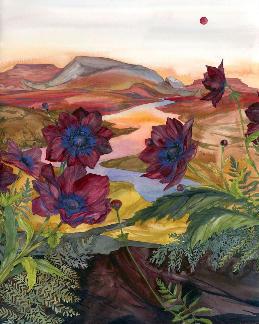 Andrea Durfee | Flowers against a mountainous landscape | Aries