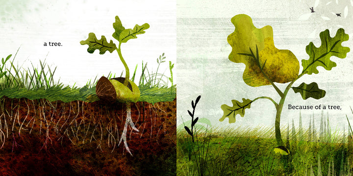Illustration of a tree growing from a seedling to a full-sized tree with text &