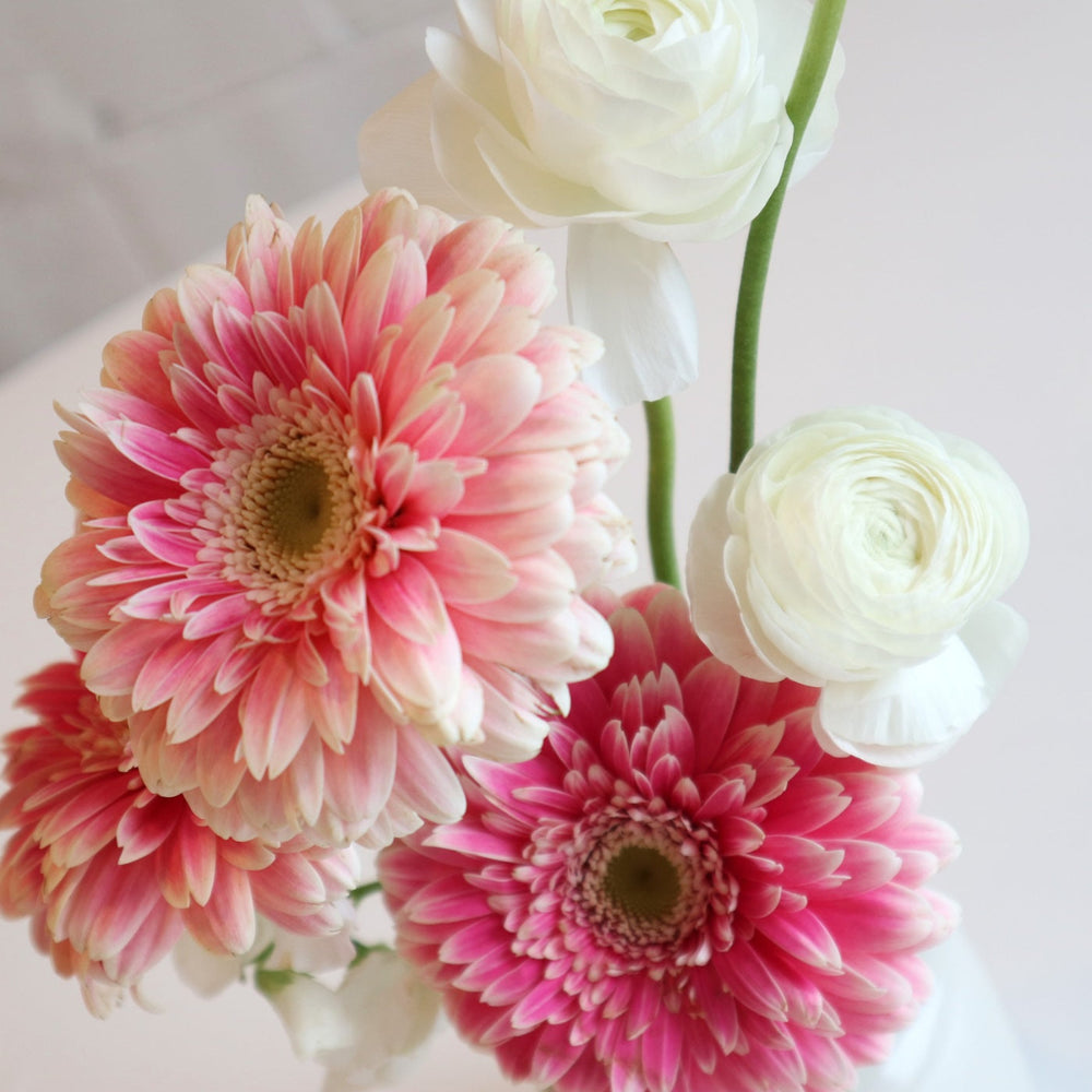 Best Buds | Close up on the pink and white florals.