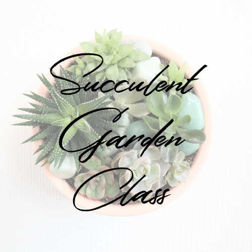 Stacy K Floral | Succulent Garden Class graphic.