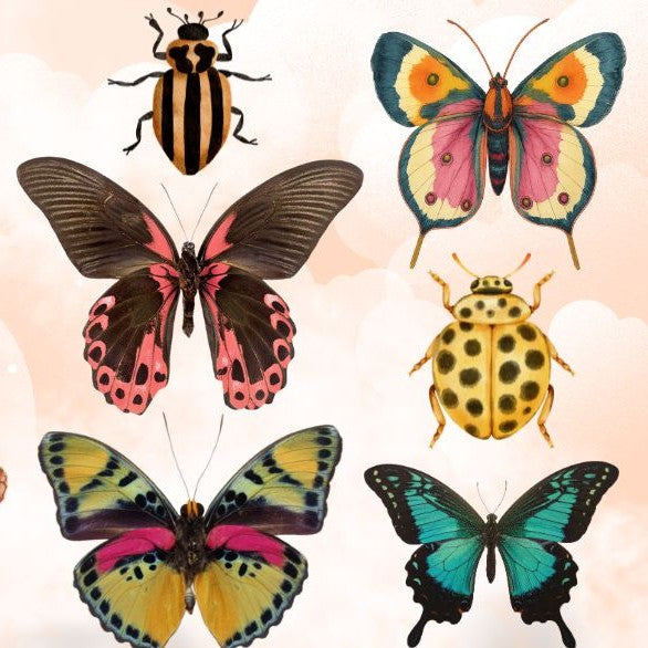 Collection of butterflies and beetles on a light pink background