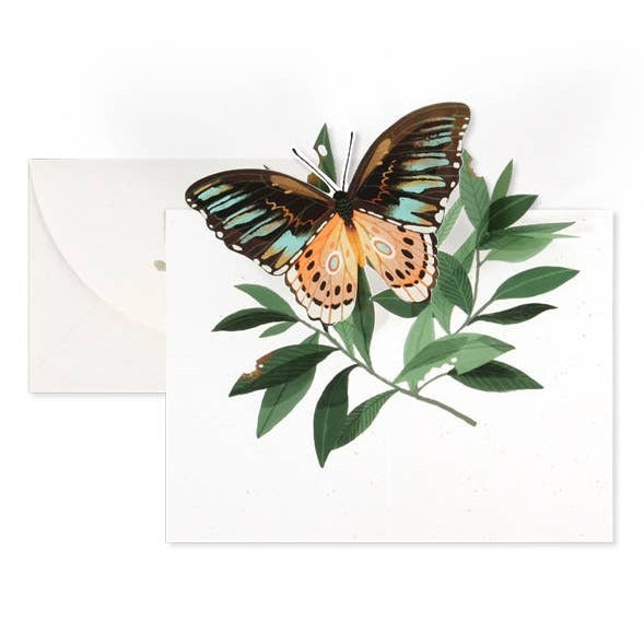 A white card with green leaves and a pop up butterfly in a watercolor style.