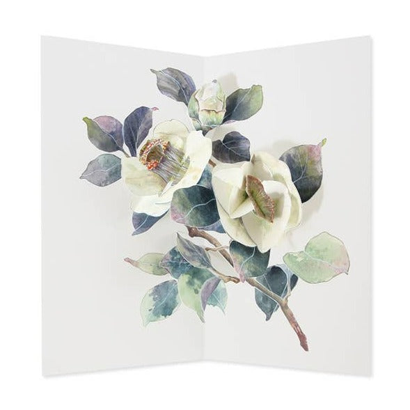 A pop-up card featuring a Camellia flower in an illustrative watercolor style against a white background.