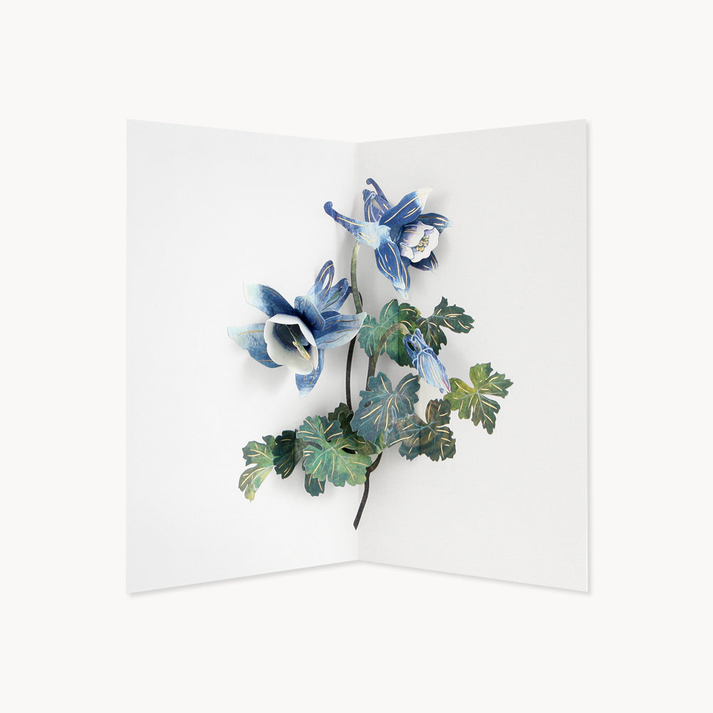 Columbine Flower Card | UWP Luxe | A white interior with a paper cutout Columbine flower that is blue/white, with green leaves that have reflective elements.