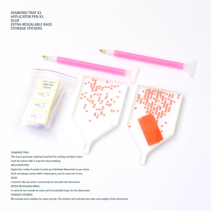 Diamond tray, applicator pen, glue, and resealable bags on a white background