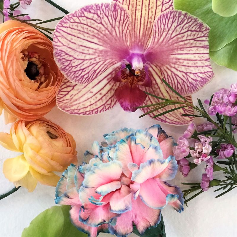 flat lay of ranunculus carnation and waxflower