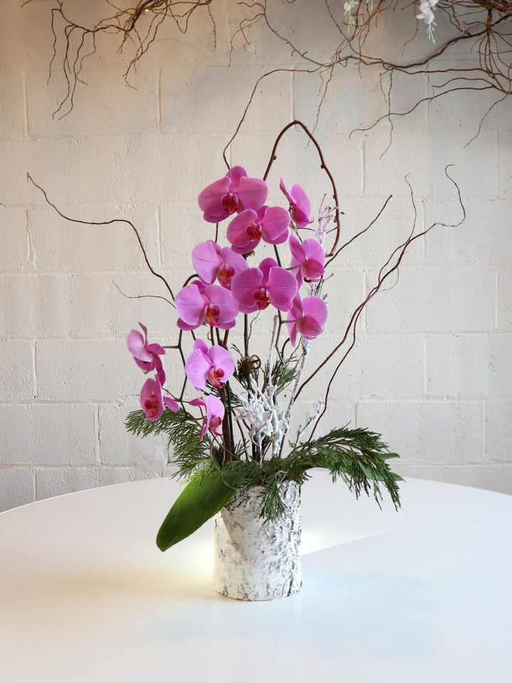 Purple orchid in a white birch vase