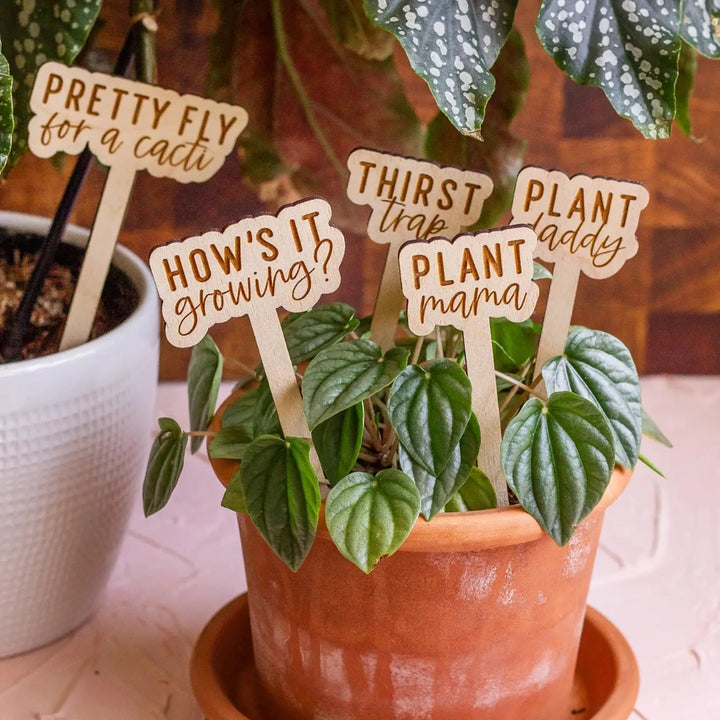 The Print Pantry | Funny Wooden Plant Markers | Plant markers with sayings in a houseplant. "Pretty Fly for a cacti" "How's it growing?" "Thirst Trap" "Plant Mama" "Plant Daddy"