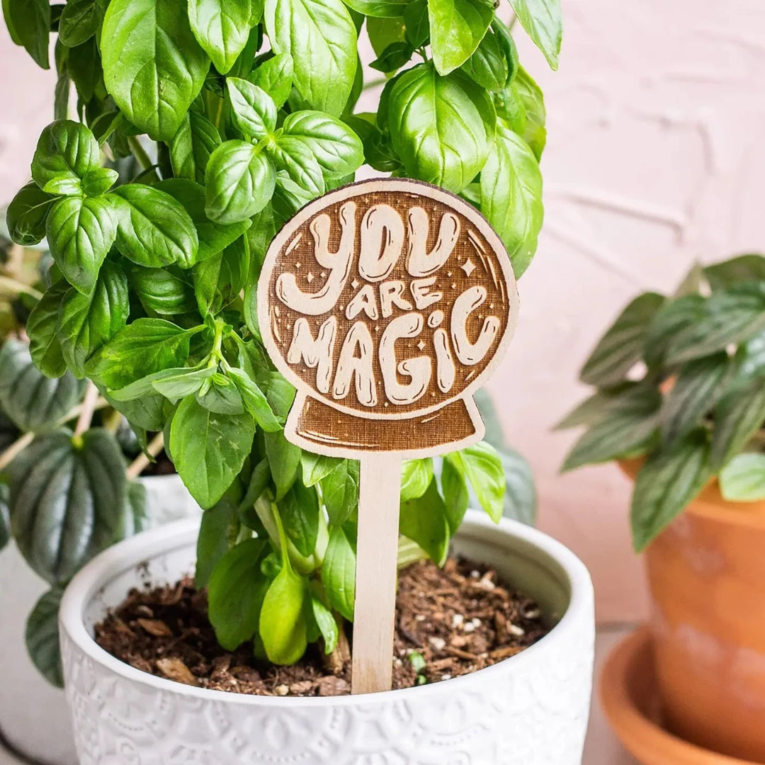 The Print Pantry | Funny Wooden Plant Markers | You are magic