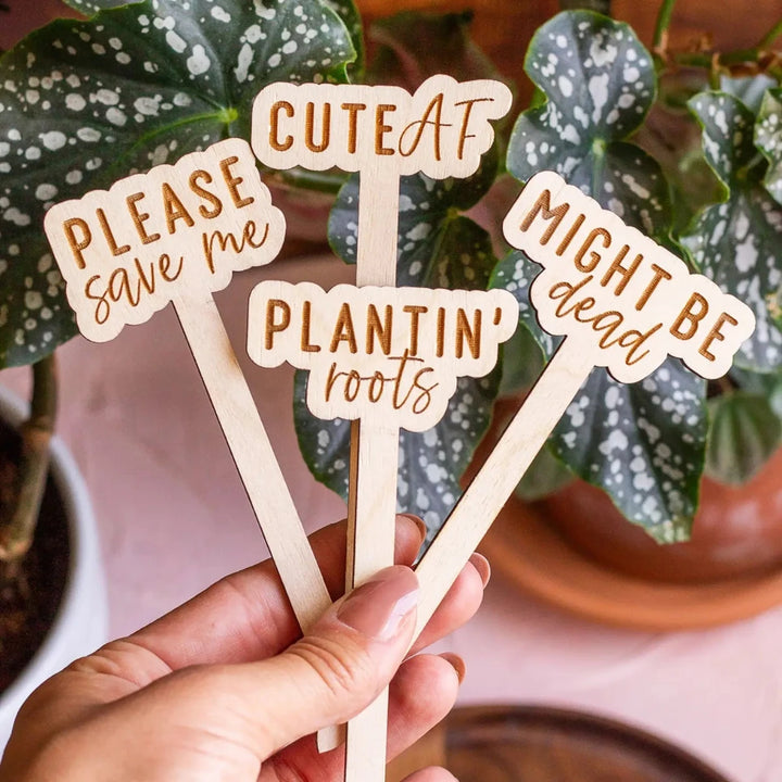 The Print Pantry | Funny Wooden Plant Markers | "Please save me" "CuteAF" "Plantin' Roots" "Might be dead"