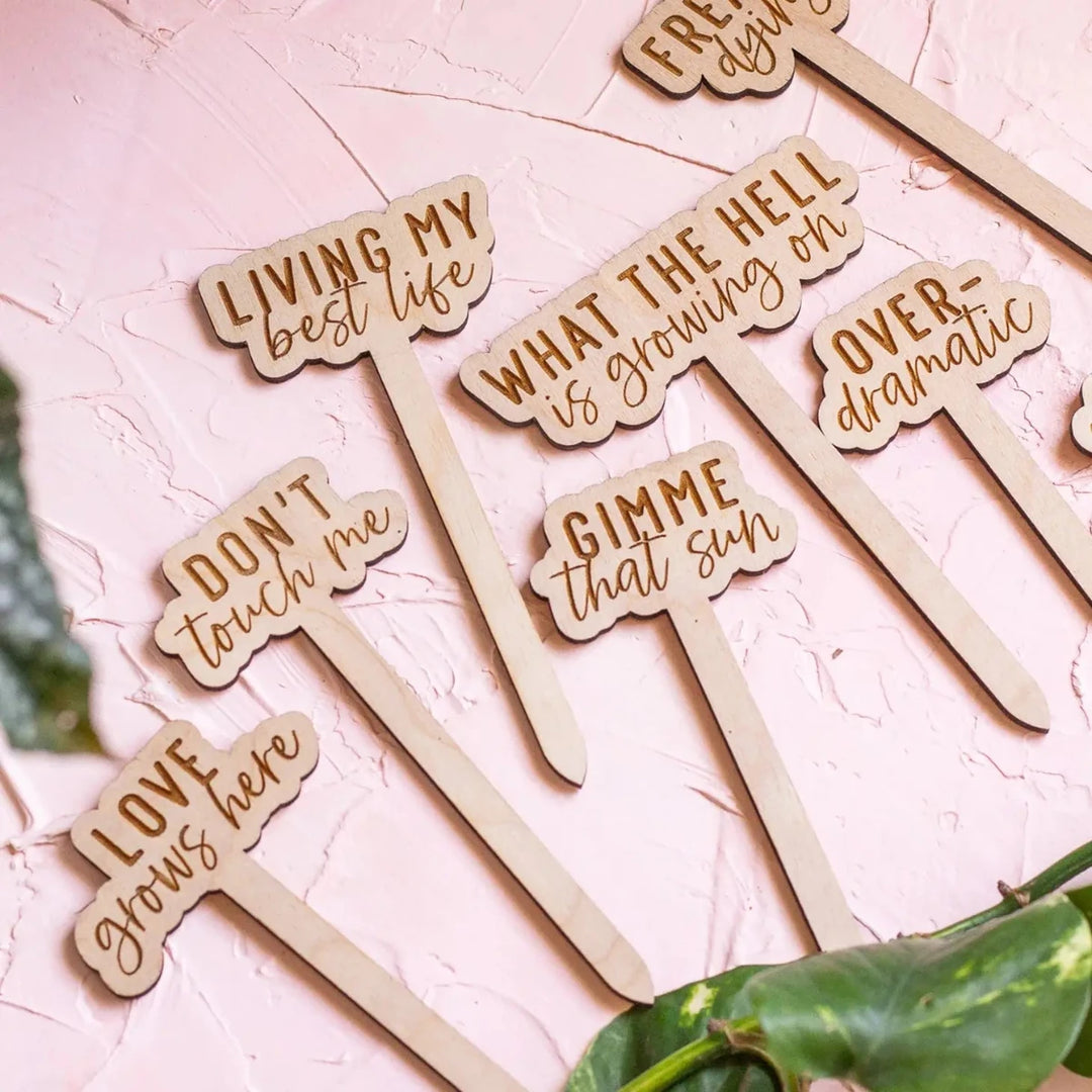 The Print Pantry | Funny Wooden Plant Markers | "Love grows here" "Don't touch me" "living my best life"  "What the hell is growing on" "Gimme that sun" "over-dramatic"