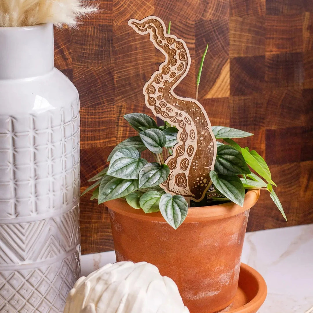 The Print Pantry | Funny Wooden Plant Markers | Octopus tenticle coming out of a houseplant.