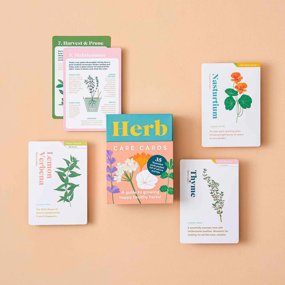 Herb Care Cards | Another Studio | Photo showing sample care cards.